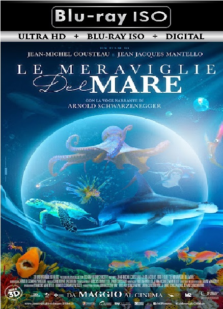 Wonders of the Sea