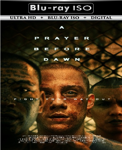 A Prayer Before Dawn