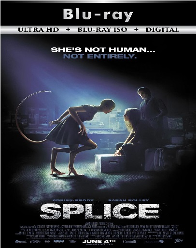 Splice