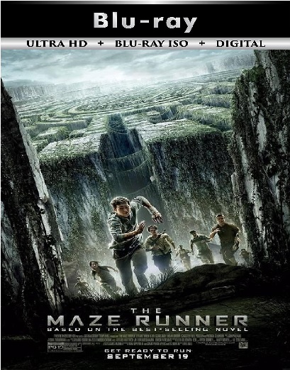 The Maze Runner