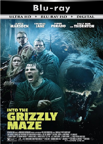 Into The Grizzly Maze