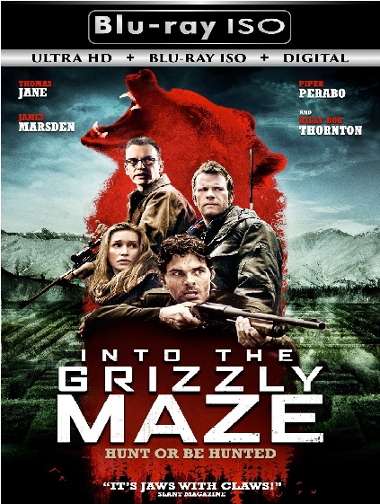 Into The Grizzly Maze