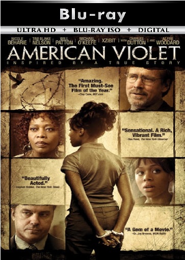 American Violet
