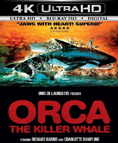 Orca