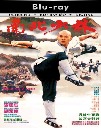 The Shaolin Temple