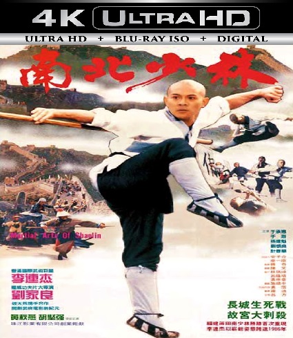 The Shaolin Temple