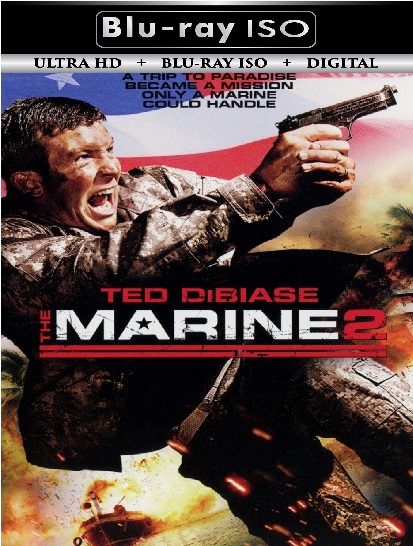 The Marine 2