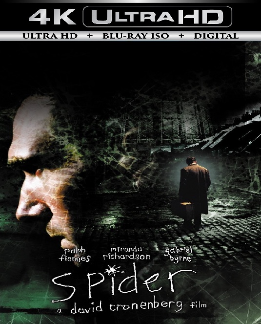 Spider