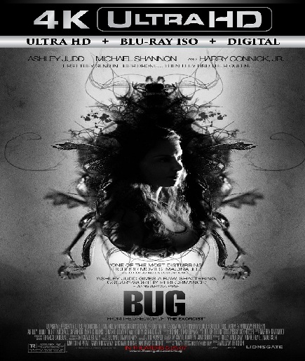 Bug