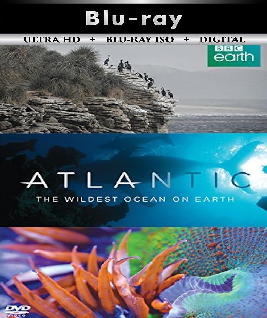 Atlantic The Wildest Ocean On Earth