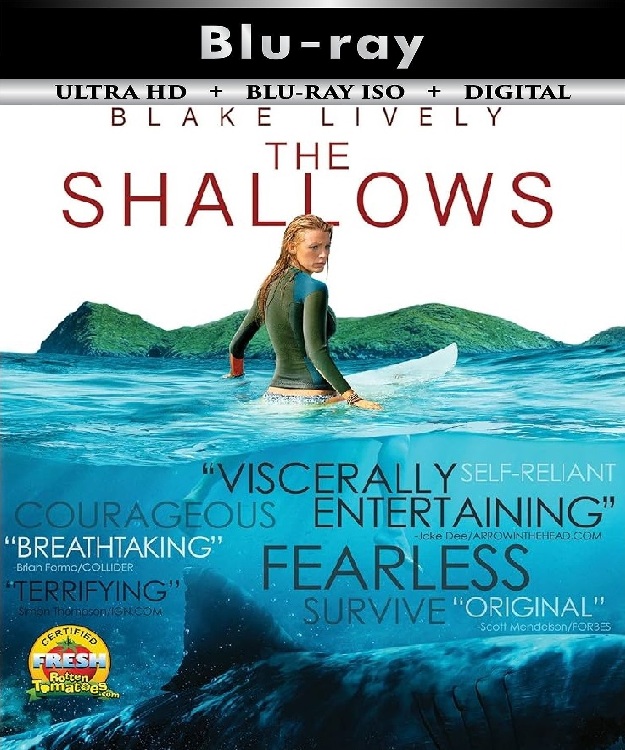 The Shallows