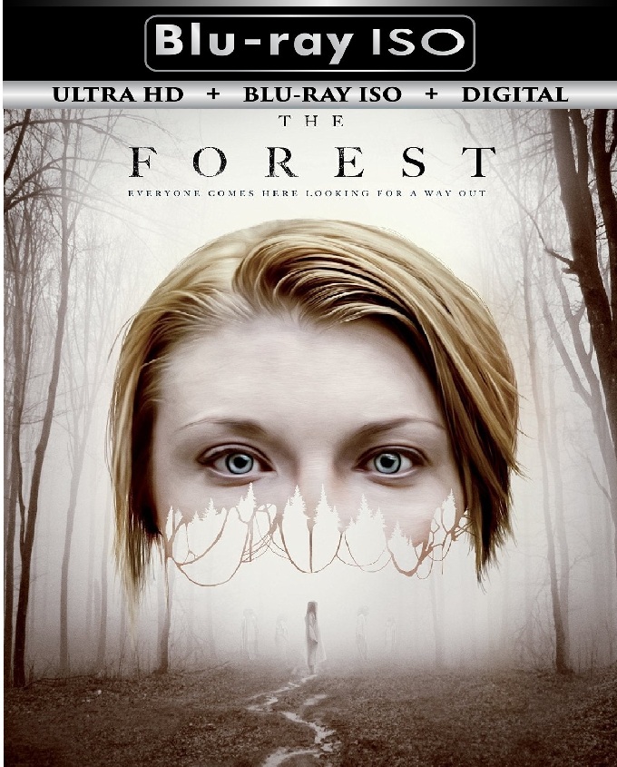 The Forest