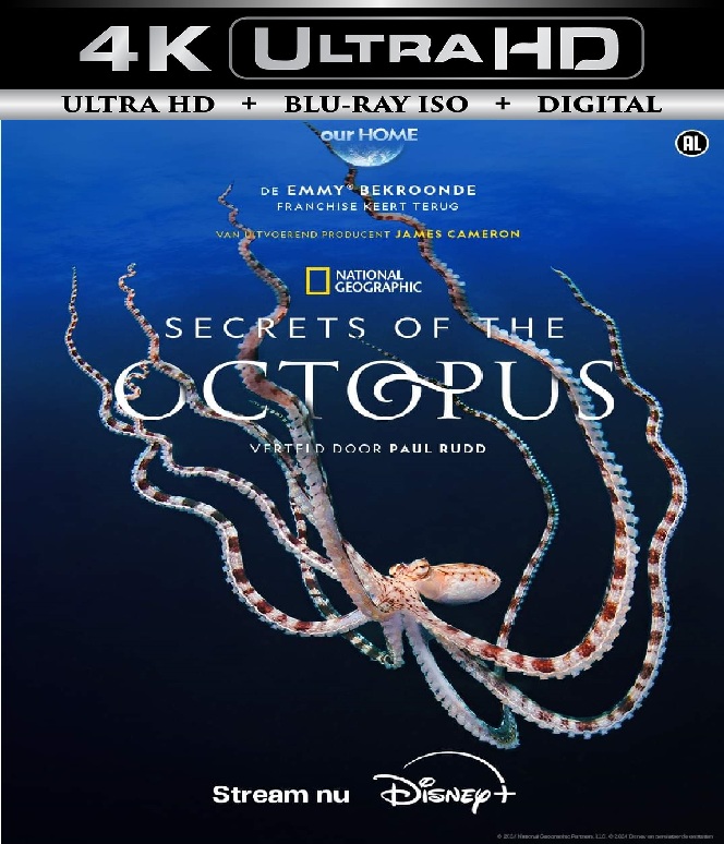 Secrets of the ...