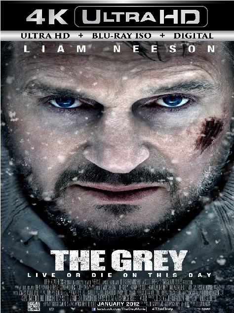 The Grey