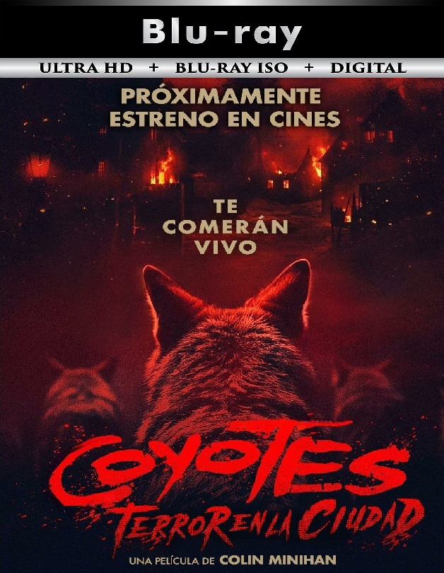 Coyotes