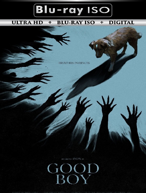 Good Boy