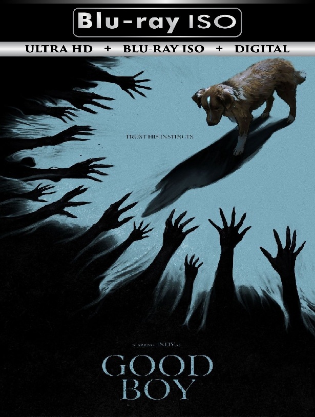 Good Boy