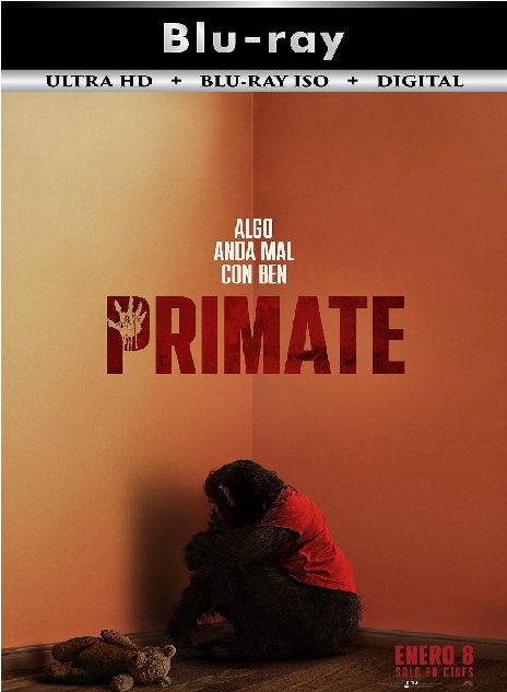 Primate