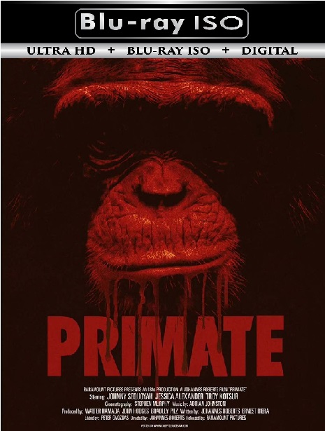 PrimatePrimate
