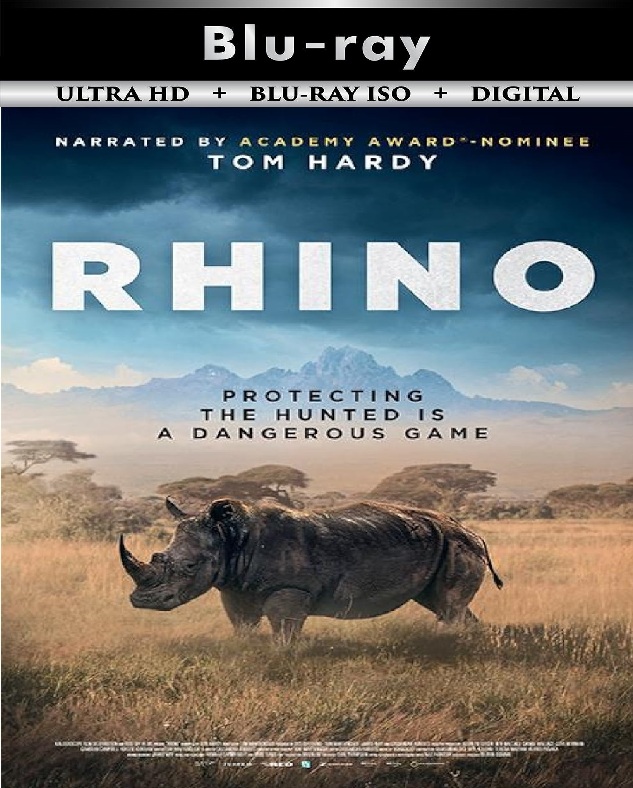 Rhino