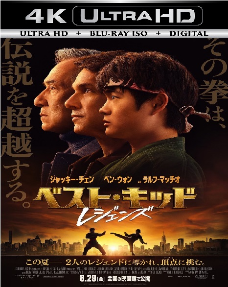 Karate Kid Legends