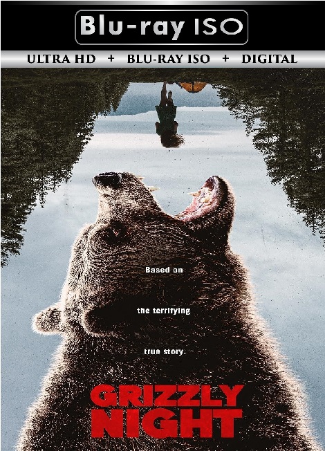 Grizzly Night