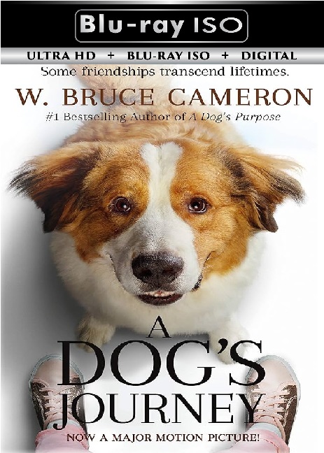 A Dog