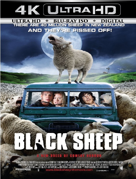 Black Sheep