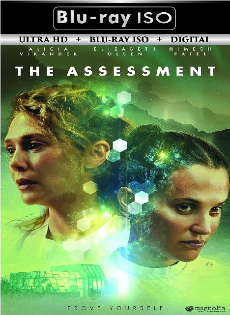 The Assessment